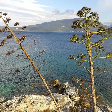 Σπίτι διακοπών Nicol's Casetta Αγία Ευφημία